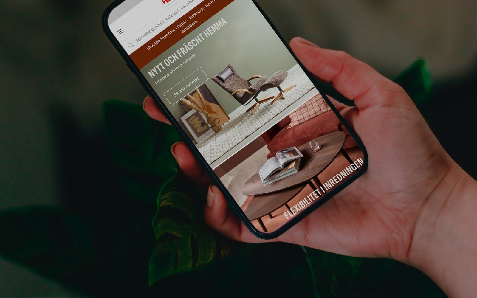 Askås Content Editor in the group Features at Askås I&R AB (askas_0002)
